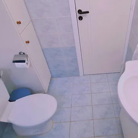 Camelia Apartament *